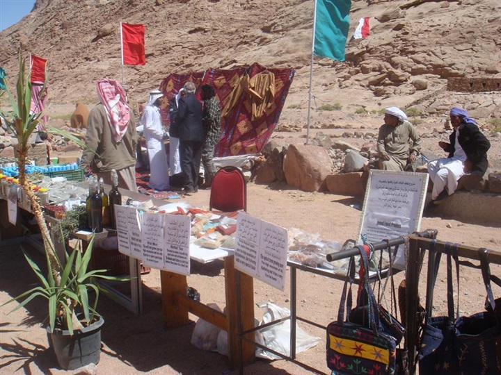 "منبر الحضارة" يطالب بإنشاء معهد بحوث للنباتات الطبية بسانت كاترين