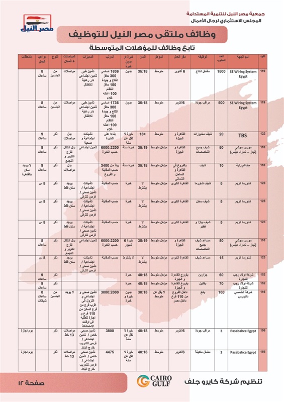 برعاية النائب علاء عابد.. بدء ملتقي مصر النيل للتوظيف بمركز الصف 