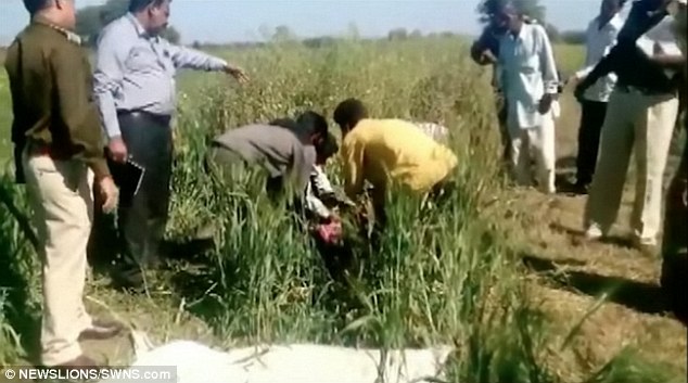 بالصور.. رجل يقطع رأس زوجته بعد ضبطها في أحضان عشيقها