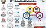 بالإنفوجراف.. حصاد قطاع التنمية المحلية في 2019 