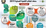 بالإنفوجراف.. حصاد قطاع التنمية المحلية في 2019 