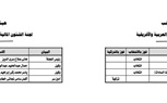 بالأسماء .. التشكيل الكامل للجان النوعية لمجلس الشيوخ