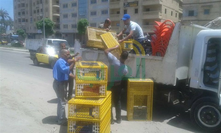 بالصور.. رفع الإشغالات بسيدي بشر والعصافرة 