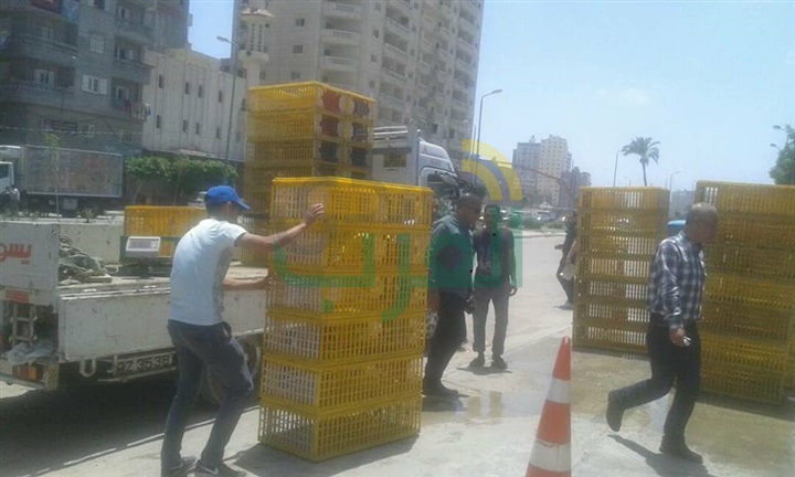 بالصور.. رفع الإشغالات بسيدي بشر والعصافرة 