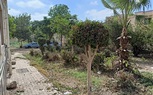صيانة أكشاك الكهرباء وإصلاح خط مياه وتهذيب الأشجار بالمنشآت الحكومية في بيلا 