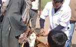 فحص وعلاج (٢٧٥) رأس ماشية ضد الأمراض الباطنية بقرية كفر الشاويش 