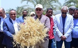 رئيس جامعة سوهاج يشهد موسم حصاد تقاوي القمح الأفضل جودة والأعلى إنتاجية لخدمة مزارعي المحافظة