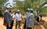 القوات المسلحة تنظم زيارة إلى مشروع إستصلاح وزراعة الأراضى الصحراوية بتوشكى