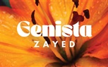 «الأماكن للتطوير» تطلق مشروعها الثاني «Genista Zayed» في قلب مدينة الشيخ زايد على مساحة 21 ألف متر