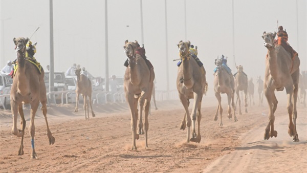 صدى العرب