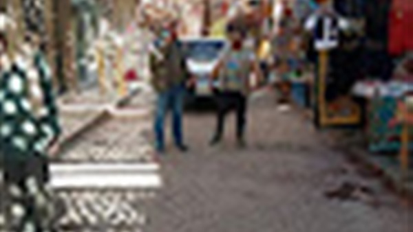 صدى العرب