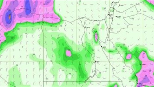 صدى العرب