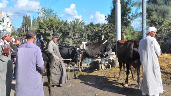 صدى العرب